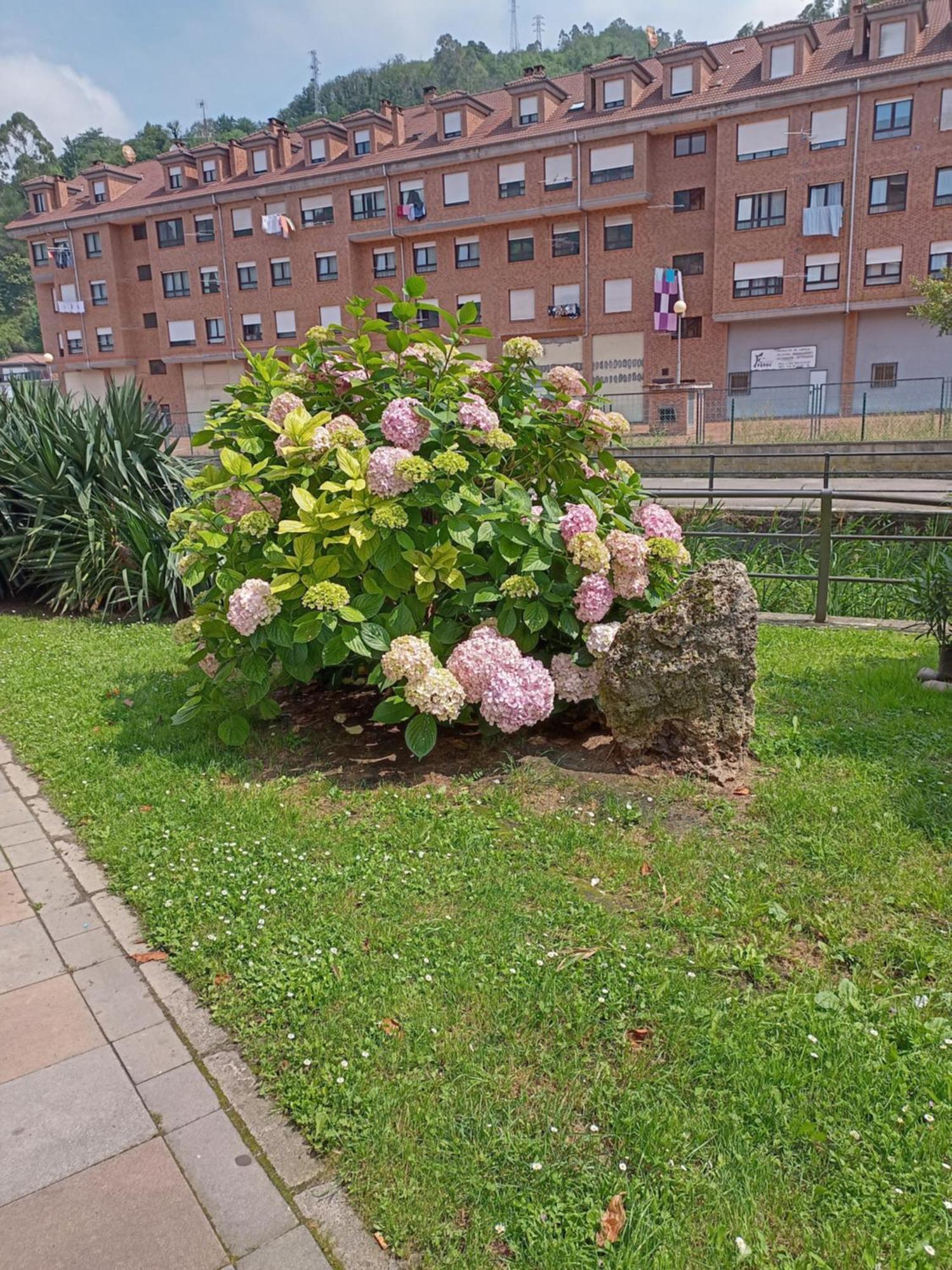 El Refugio De Noa Lägenhet Mieres  Exteriör bild